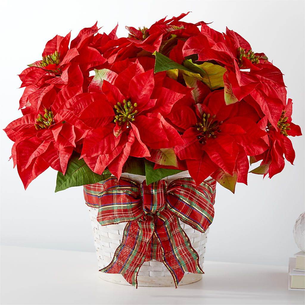 Happiest Holidays Poinsettia – Floral Design By Nikki, Irvine KY