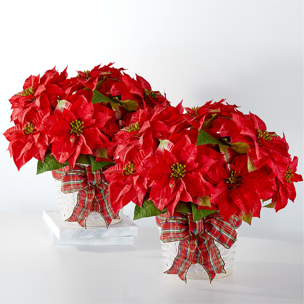 Happiest Holidays Poinsettia Bundle – Floral Design By Nikki, Irvine KY