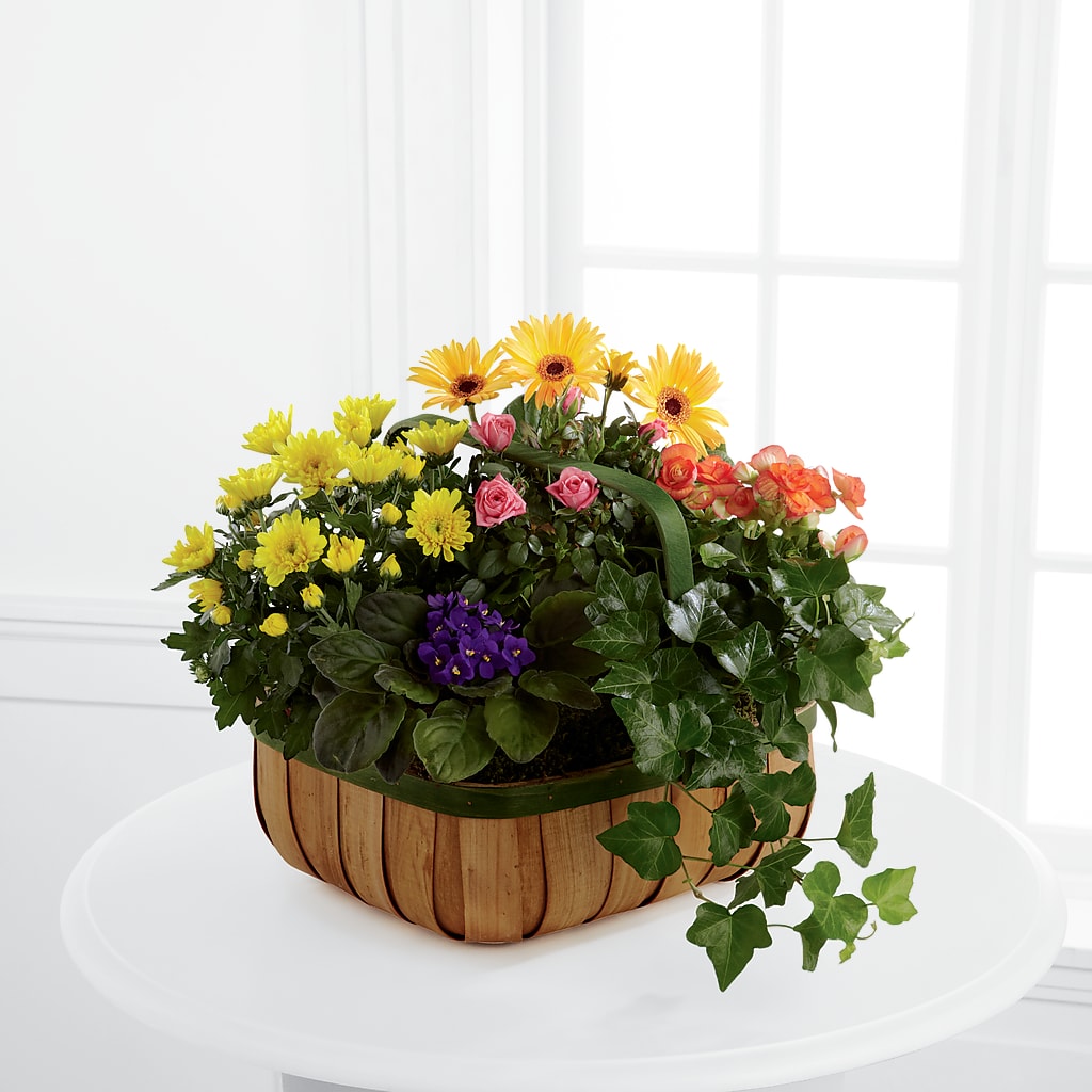 Gentle Blossoms Basket – Floral Design By Nikki, Irvine KY