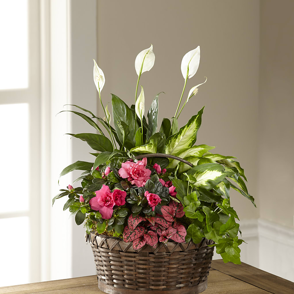 Dream in Pink Dishgarden – Floral Design By Nikki, Irvine KY