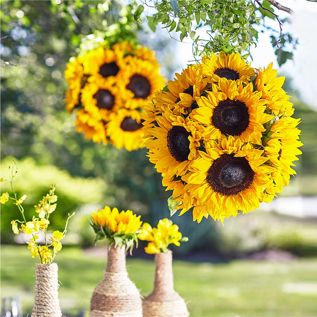 Sublime Garden Hanging Arrangement – Floral Design By Nikki, Irvine KY
