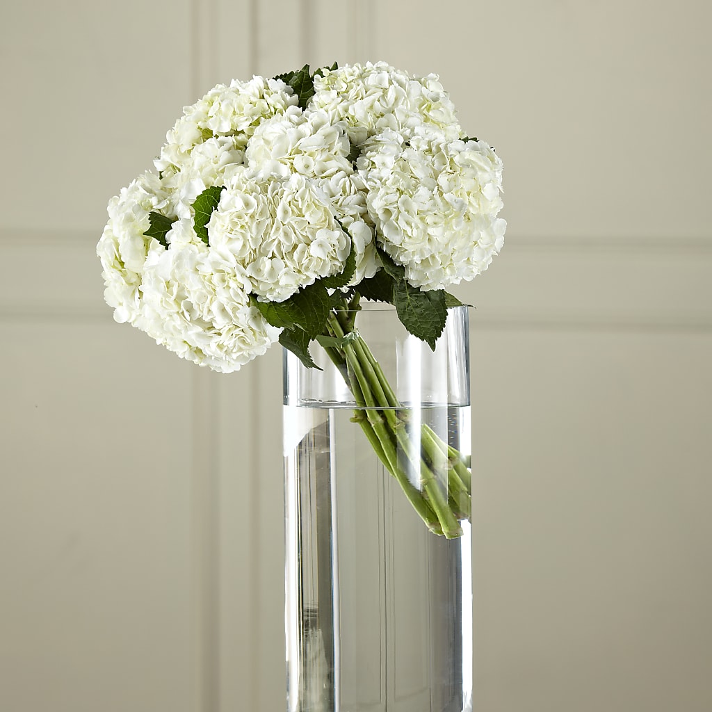 White Hydrangea Hand-Tied Bouquet – Floral Design By Nikki, Irvine KY