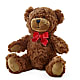 Adorable Plush Bear –  Floral Design By Nikki, Irvine KY