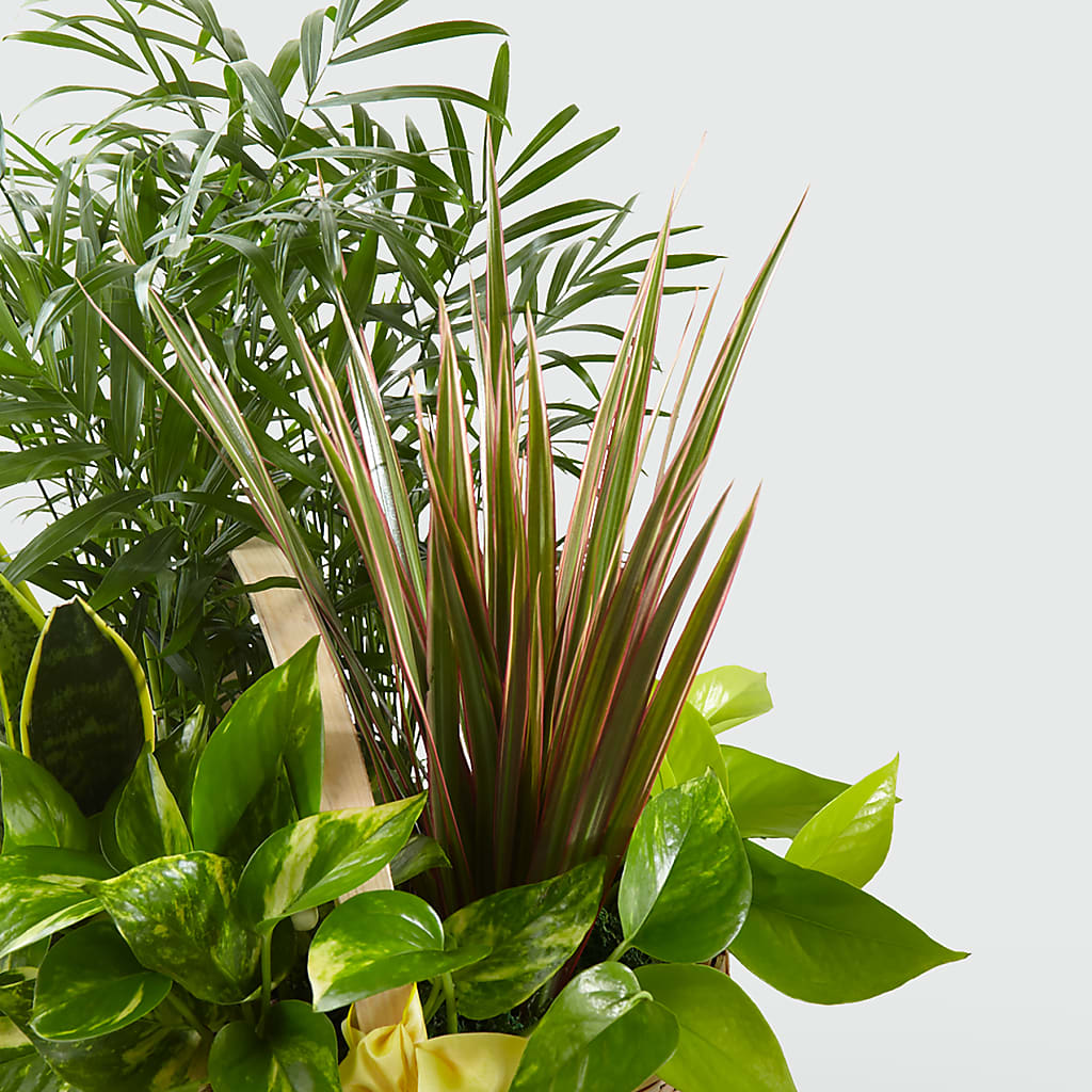 French Garden –  Floral Design By Nikki, Irvine KY