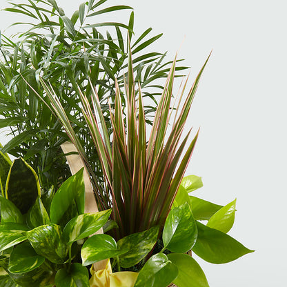 French Garden –  Floral Design By Nikki, Irvine KY