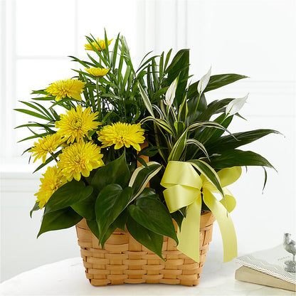 Loving Light Dishgarden –  Floral Design By Nikki, Irvine KY