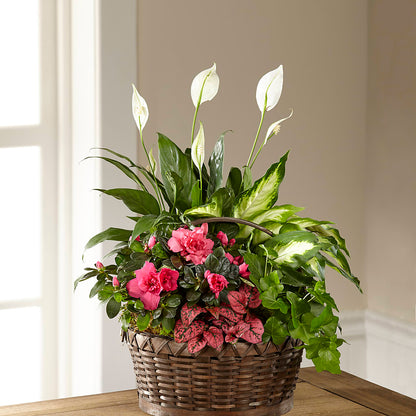 Dream in Pink Dishgarden –  Floral Design By Nikki, Irvine KY