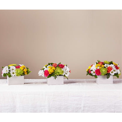 Sorbet Bouquet –  Floral Design By Nikki, Irvine KY