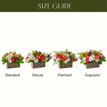 Oopsie Daisy Box Bouquet –  Floral Design By Nikki, Irvine KY