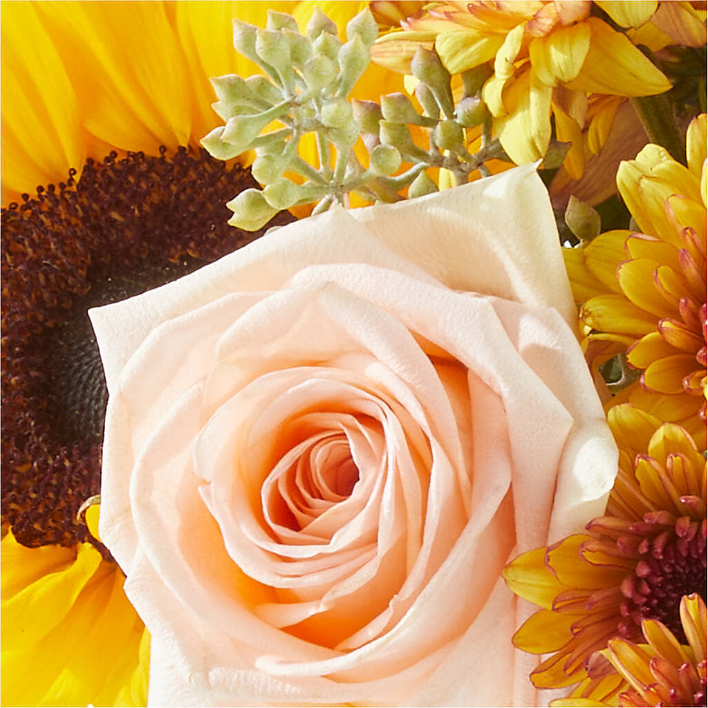 Pumpkin to Talk About Bouquet –  Floral Design By Nikki, Irvine KY