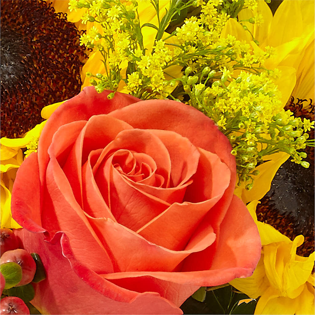 Pick of the Patch Pumpkin Bouquet –  Floral Design By Nikki, Irvine KY