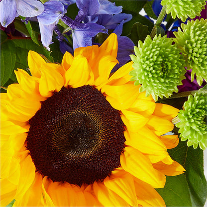 Catching Rays Bouquet –  Floral Design By Nikki, Irvine KY