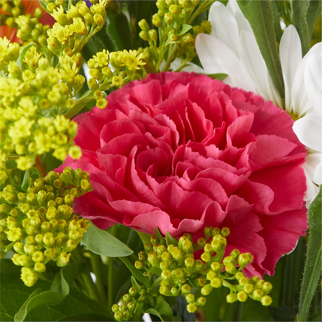 Oopsie Daisy Bouquet –  Floral Design By Nikki, Irvine KY