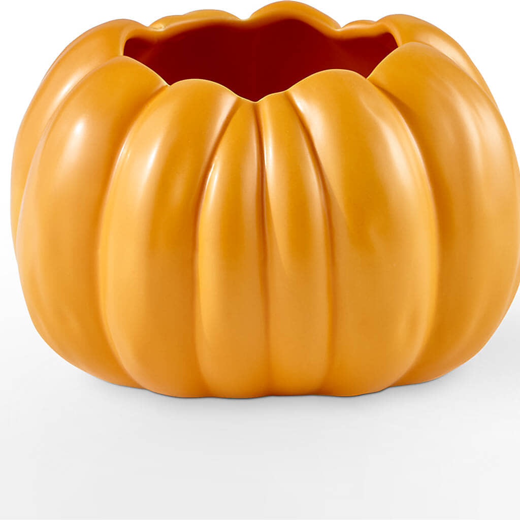 Pick of the Patch Pumpkin Bouquet –  Floral Design By Nikki, Irvine KY