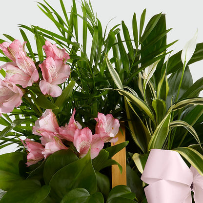 Living Spirit Dishgarden –  Floral Design By Nikki, Irvine KY