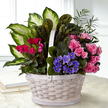 Peaceful Garden Planter –  Floral Design By Nikki, Irvine KY