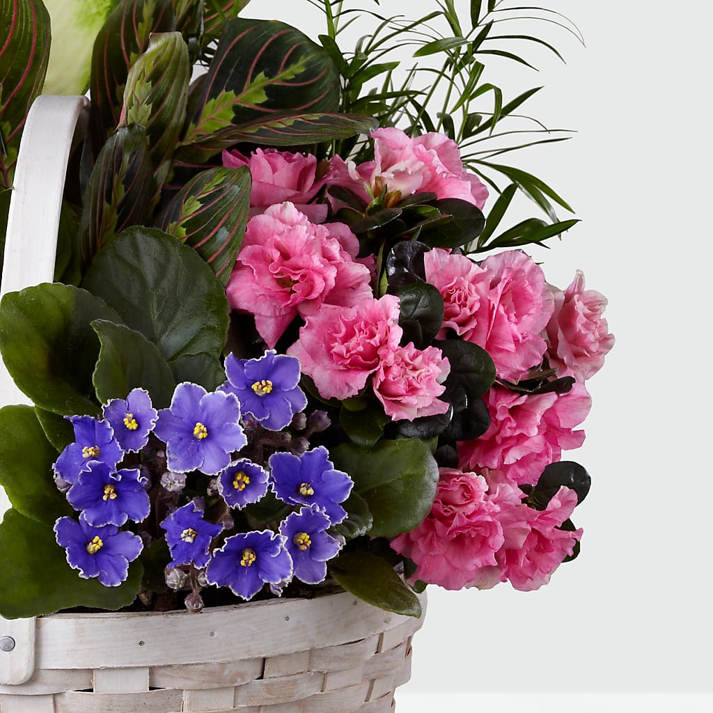 Peaceful Garden Planter –  Floral Design By Nikki, Irvine KY