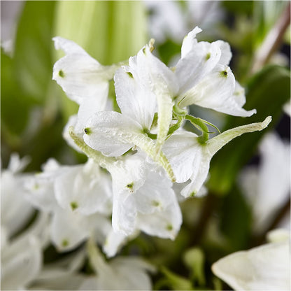 Classic Ivory – A Florist Original –  Floral Design By Nikki, Irvine KY
