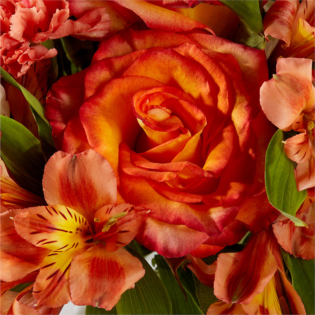 Apricot Glow Bouquet –  Floral Design By Nikki, Irvine KY