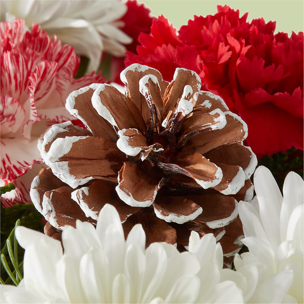 Candy Cane Lane Bouquet –  Floral Design By Nikki, Irvine KY