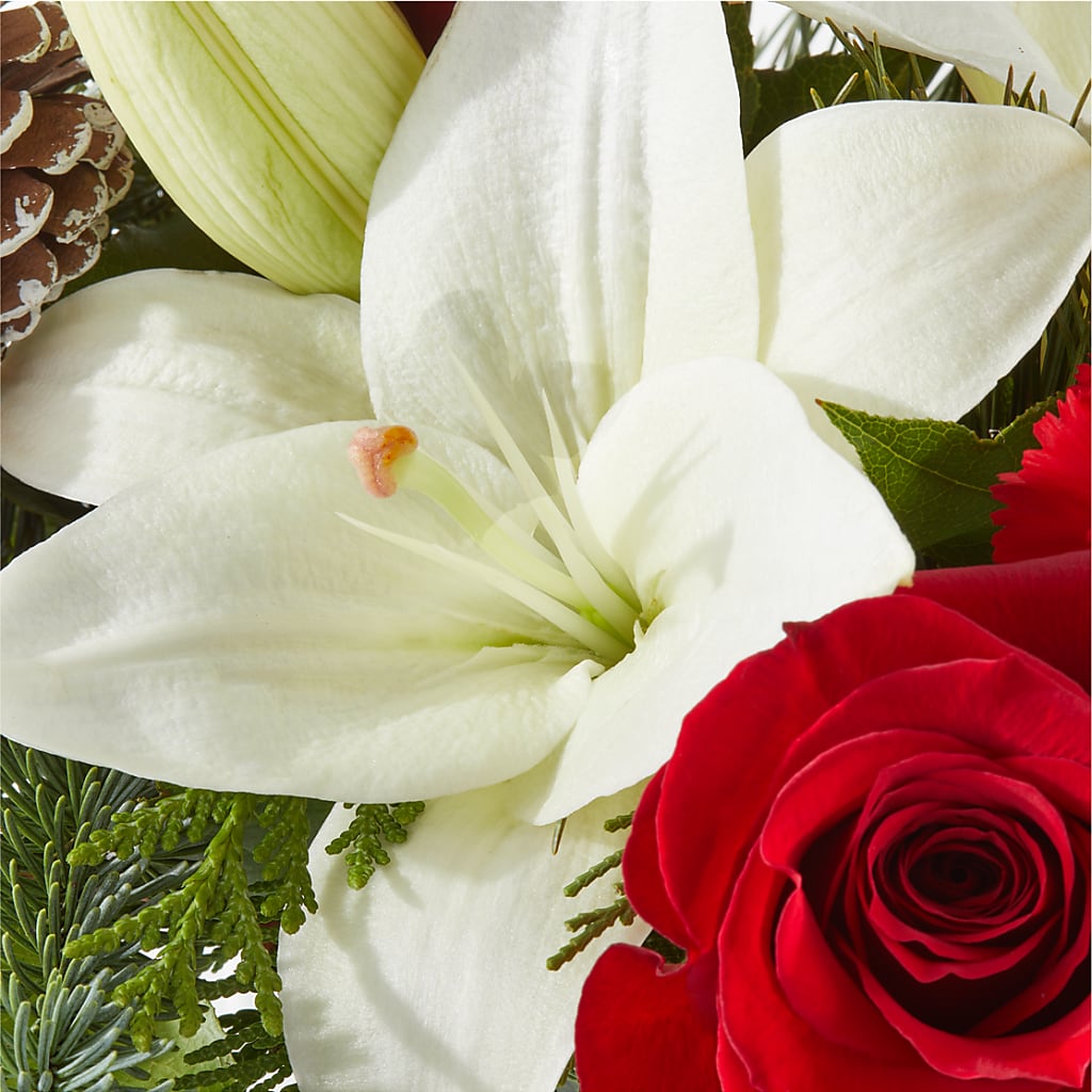Oh So Jolly Bouquet –  Floral Design By Nikki, Irvine KY