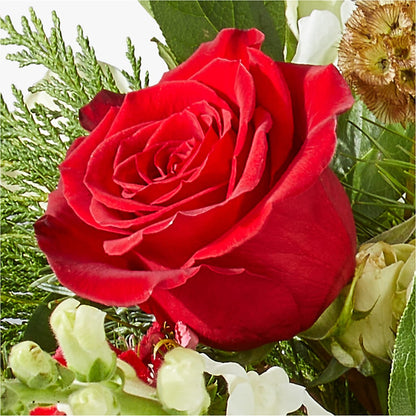 Deck the Halls Bouquet –  Floral Design By Nikki, Irvine KY