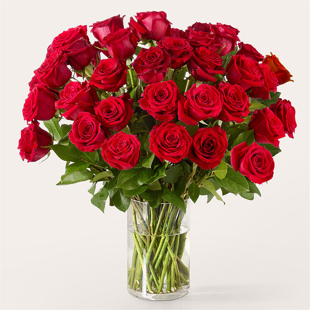The One Red Rose Bouquet –  Floral Design By Nikki, Irvine KY