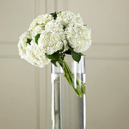 White Hydrangea Hand-Tied Bouquet –  Floral Design By Nikki, Irvine KY